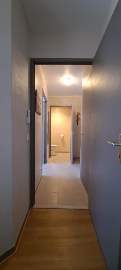 ליון Appart T2 Standing Tout Confort Avec Balcon - Parking En Option מראה חיצוני תמונה
